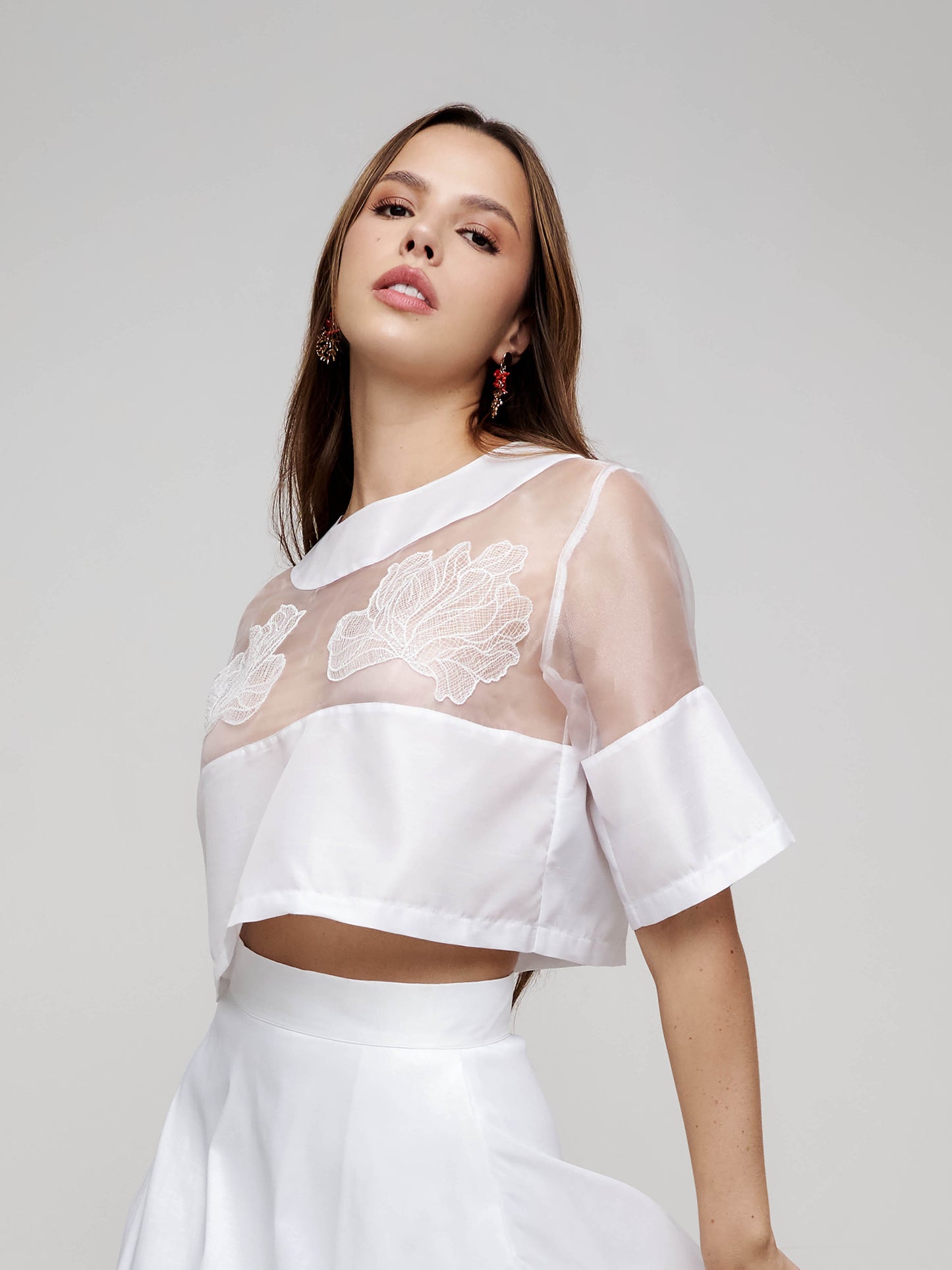 Top transparencias